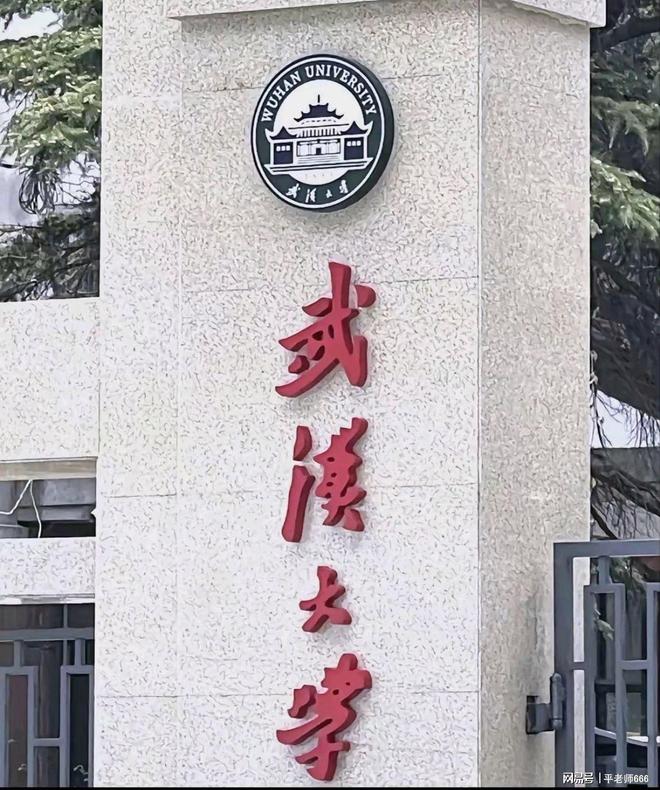 了武大的遮羞布！是谁制造了这起事件ky开元棋牌一句“滚出湖北”揭开(图5)